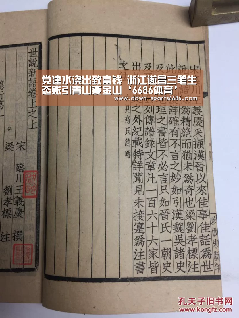 党建水浇出致富钱 浙江遂昌三笔生态账引青山变金山‘6686体育’