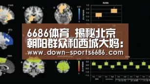 6686体育