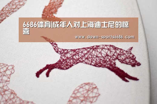 6686体育|成年人对上海迪士尼的惊喜(图2) 6686体育官网